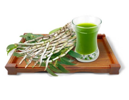 Nourish the body through food